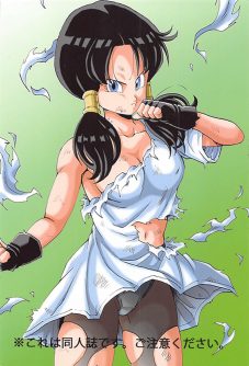 Videl LOVE - Foto 