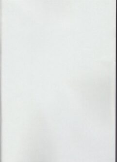 GIORNO x TRISH - Foto 